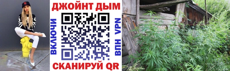 Альфа ПВП Энем