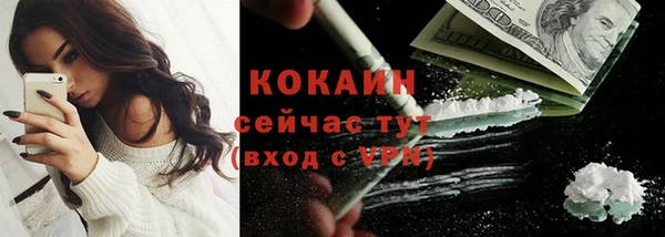 соль ск Абаза