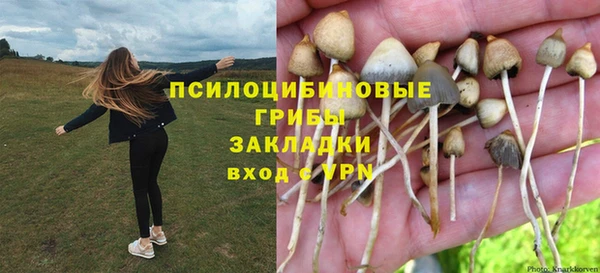 соль ск Абаза