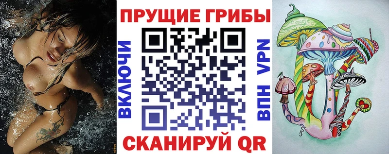 мориарти клад Энем Псилоцибиновые грибы Cubensis что такое