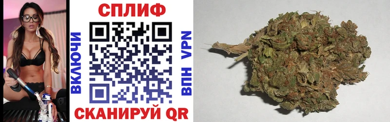 kraken ТОР  закладки  Энем  Канабис White Widow 